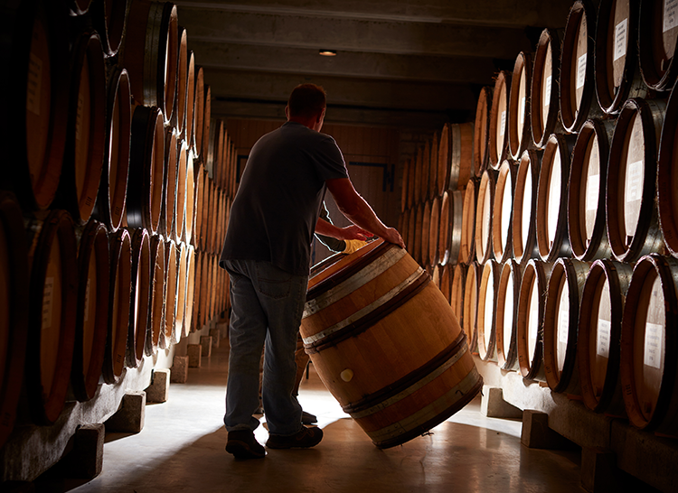 Domaine Faiveley