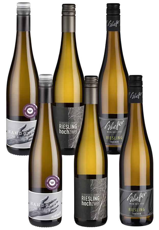Probierpaket Riesling 