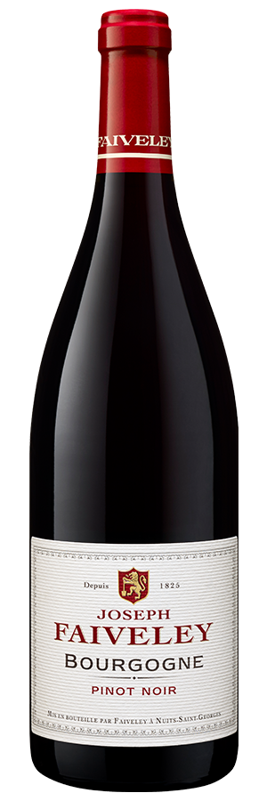 Bourgogne Pinot Noir 2021