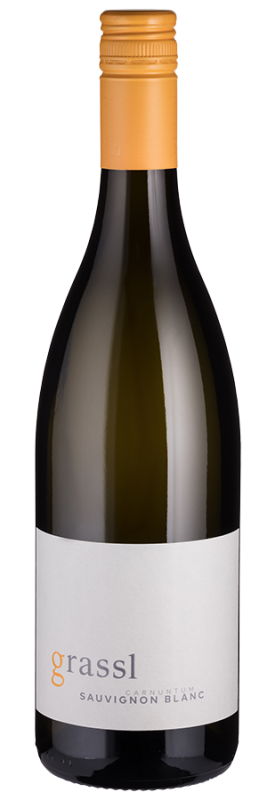 Image of Sauvignon Blanc Bio (2023) - Grassl - Weißwein aus dem Carnuntum, Österreich