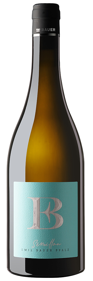 Semillon Nussdorf 2024