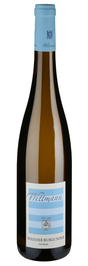 Weisser Burgunder Estate trocken (Bio) 2023