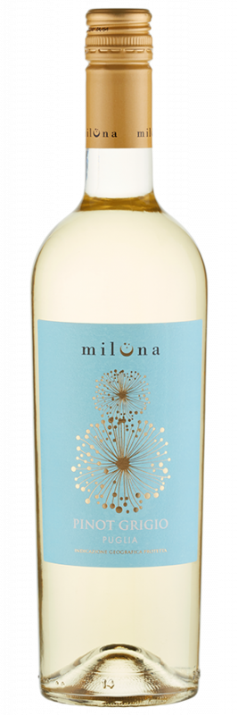 Miluna Pinot Grigio Puglia (2024) - Cantine San Marzano - Weißwein aus Apulien, Italien - Weinfreunde