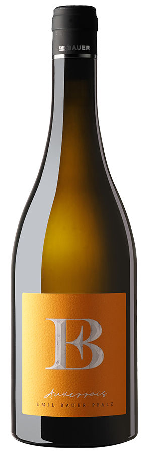 Auxerrois Nussdorf 2024