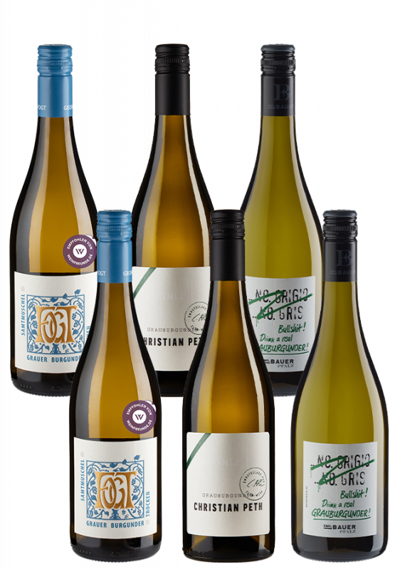 Image of 6er Paket Grauburgunder Favoriten inkl. Emil Bauer Grauburgunder - Weinpakete