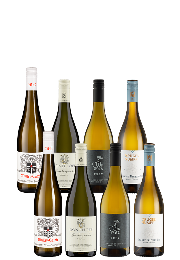8er-Paket Spargelwein-Empfehlung 